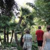 Gardasee-Giardino Botanico Hruska (5)
